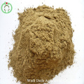 Anchovy Fish Meal Protein Powder (65%-72%) for Sales